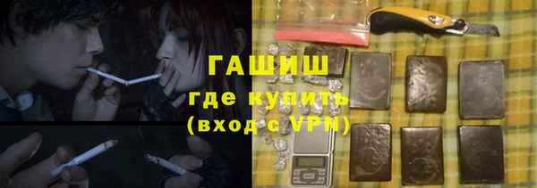 индика Ладушкин