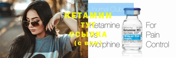 индика Ладушкин